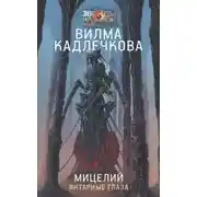 Постер книги Янтарные глаза