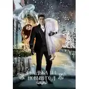 Постер книги Свадьба на Новый год