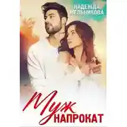 Постер книги Муж напрокат