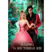 Постер книги Академия божественных жён. Разрушение