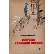 Постер книги Парень с большим именем