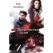 Постер книги Пророчество души