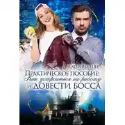 Постер книги Практическое пособие: Как устроиться на работу и довести босса