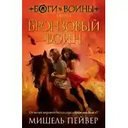 Постер книги Бронзовый воин