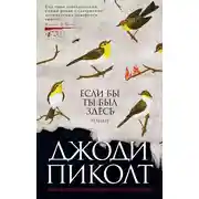 Постер книги Если бы ты был здесь