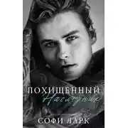 Постер книги Похищенный наследник