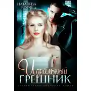 Постер книги Идеальный грешник