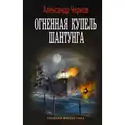 Постер книги Огненная купель Шантунга