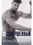 Уиллоу Винтерс - Несовершенный (ЛП)