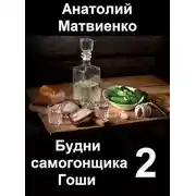 Постер книги Мир и нир