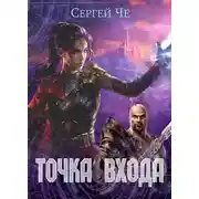 Постер книги Точка входа