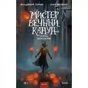 Постер книги Мистер Вечный Канун. Город Полуночи