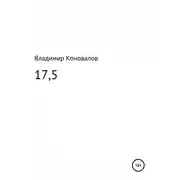 Постер книги 17,5