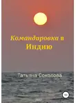 Татьяна Соколова - Командировка в Индию