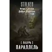 Постер книги Параллель