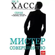 Постер книги Мистер Совершенство