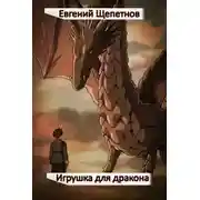Постер книги Игрушка для дракона