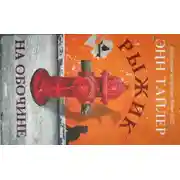 Постер книги Рыжик на обочине