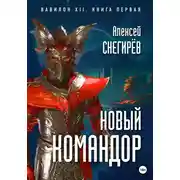 Постер книги Новый командор