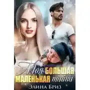 Постер книги Моя большая маленькая тайна