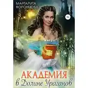 Постер книги Академия в Долине Ураганов
