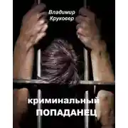 Постер книги Криминальный попаданец