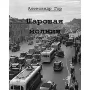 Постер книги Шаровая молния
