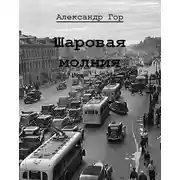 Постер книги Шаровая молния