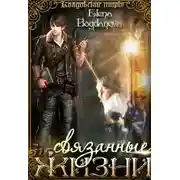 Постер книги Связанные по Жизни