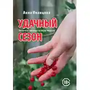 Постер книги Удачный сезон