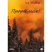 Постер книги Прорвёмся!