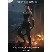 Постер книги Странница. Академия магии