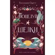 Постер книги Поцелуй шелки