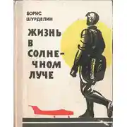 Постер книги Жизнь в солнечном луче