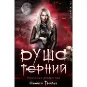 Постер книги Душа терний