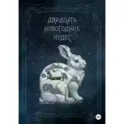Постер книги Двадцать новогодних чудес