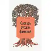 Постер книги Словарь русских фамилий