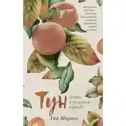 Постер книги Тун. Лето в розовом городе