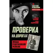 Постер книги Проверка на дорогах. Правда о партизанской разведке