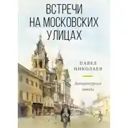 Постер книги Встречи на московских улицах