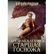Постер книги Гарем-академия 4. Старшая госпожа