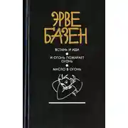 Постер книги Масло в огонь