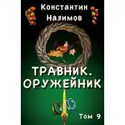 Постер книги Оружейник