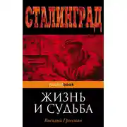Постер книги Жизнь и судьба