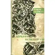 Постер книги Деревня на перепутье