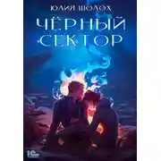 Постер книги Чёрный сектор. Книга 1