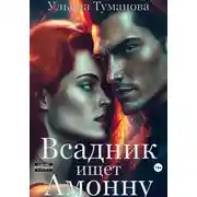 Постер книги Всадник ищет Амонну