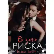 Постер книги В зоне риска