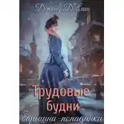 Постер книги Трудовые будни барышни-попаданки