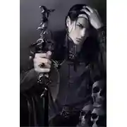 Постер книги Наследник темного лорда